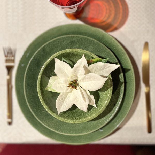 Vit julstjärna med clips